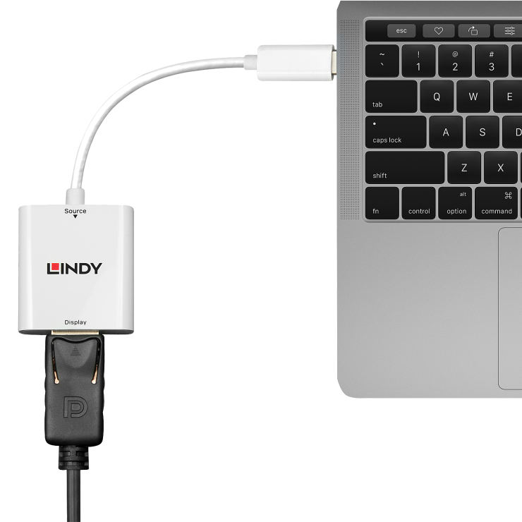Adaptor USB 3.1-C la Displayport T-M alb, Lindy L43245