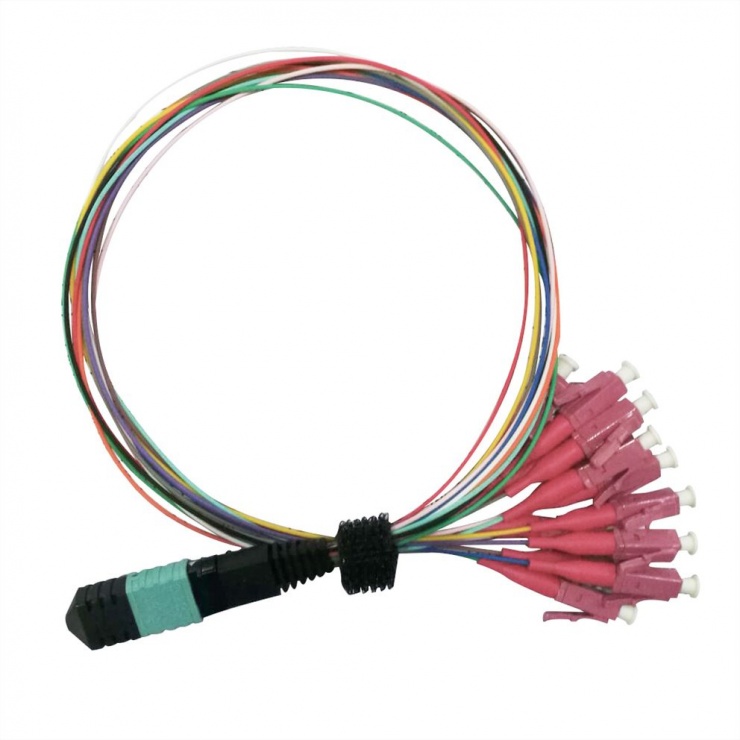 Cablu Fanout MPO – 12 x LC OM4 LSOH 2m, Value 21.99.1100 conectica.ro imagine noua tecomm.ro