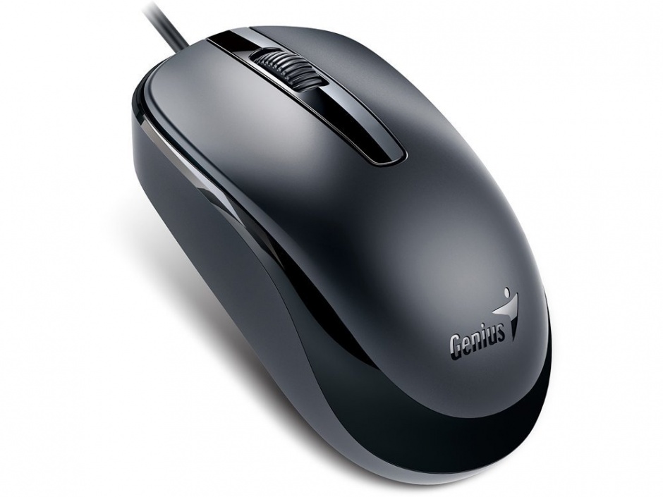 Mouse Genius DX-120 Black USB, Genius