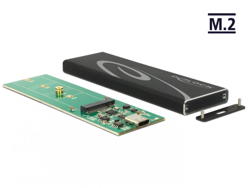 Rack extern m.2 ssd key b 80 mm la usb 3.1 tip c, delock 42574