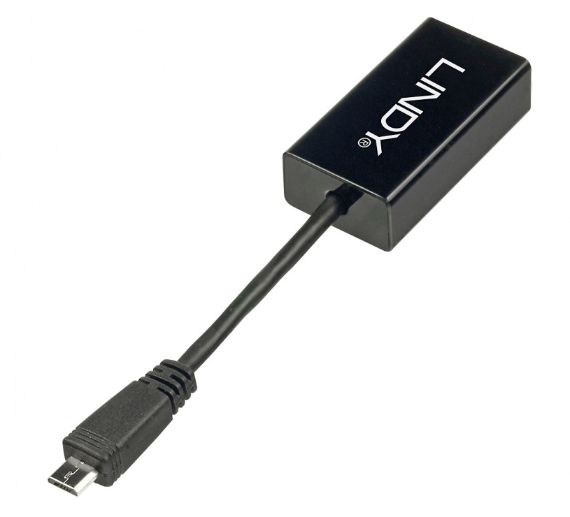 Adaptor micro usb 2.0 la ethernet, lindy l42948