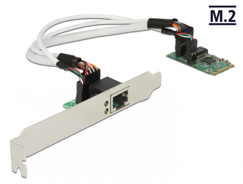 Convertor M.2 Key B+M male la 1 x Gigabit LAN Low Profile Form Factor, Delock 62851 conectica.ro