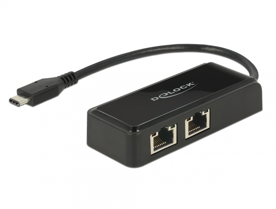 Placa de retea USB-C 3.1 Gen 1 la 2 x Gigabit LAN, Delock 63927 conectica.ro imagine noua tecomm.ro