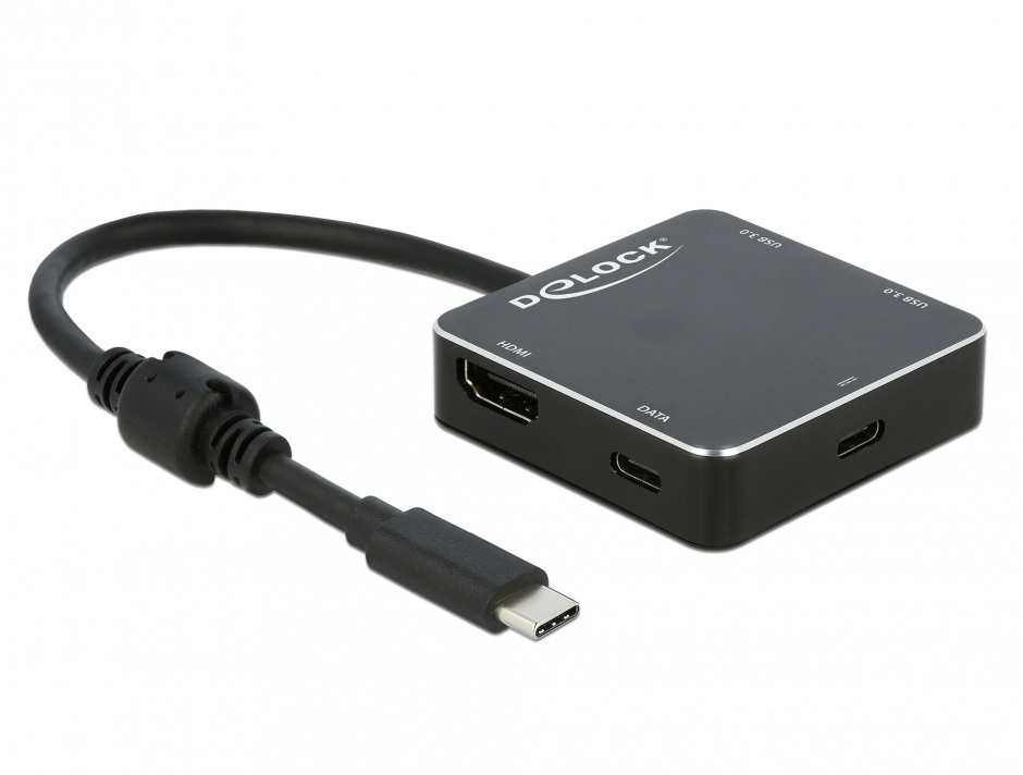 Usb gen1. Delock USB 3.0 4 Hub. Порт Type-c Gen.1. L1 хаб. Port_#0001.Hub_#0010.