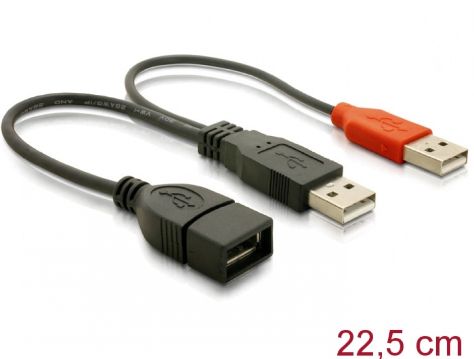 Cablu USB 2.0 in Y date + alimentare 22cm, Delock 65306 2.0