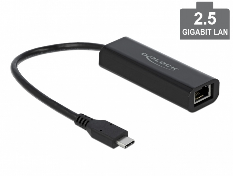 Adaptor USB 3.1-C la 2.5 Gigabit LAN, Delock 66298 conectica.ro