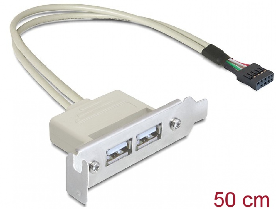 Bracket USB 2.0 2 porturi, low profile, Delock 83119 conectica.ro