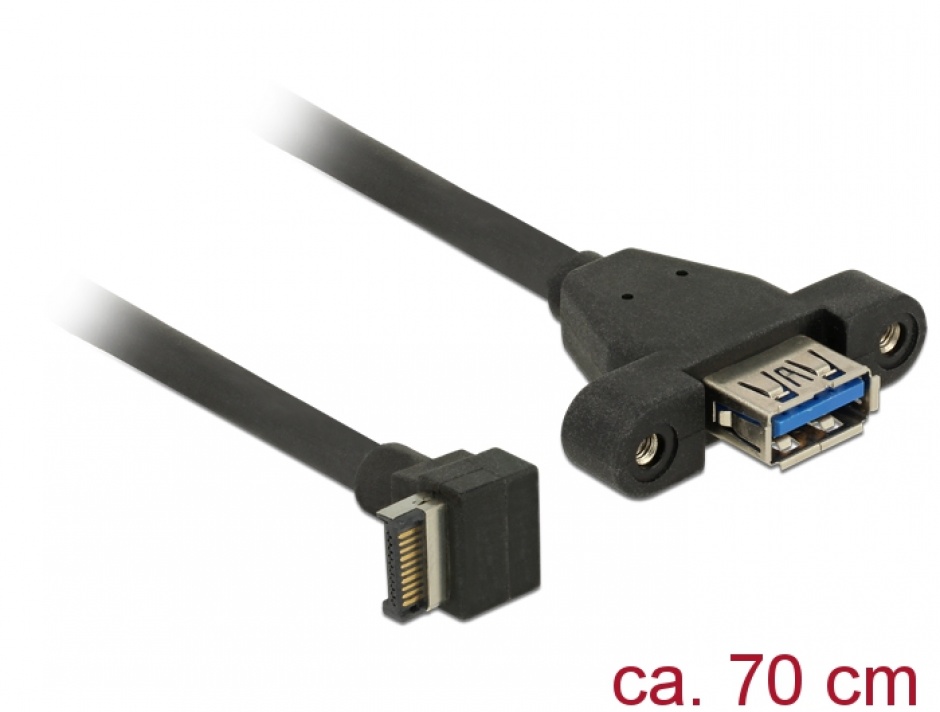 Cablu USB 3.1 Gen 2 key A 20 pini la USB 3.1-A Gen 2 T-M panel-mount 70cm, Delock 85325 conectica.ro