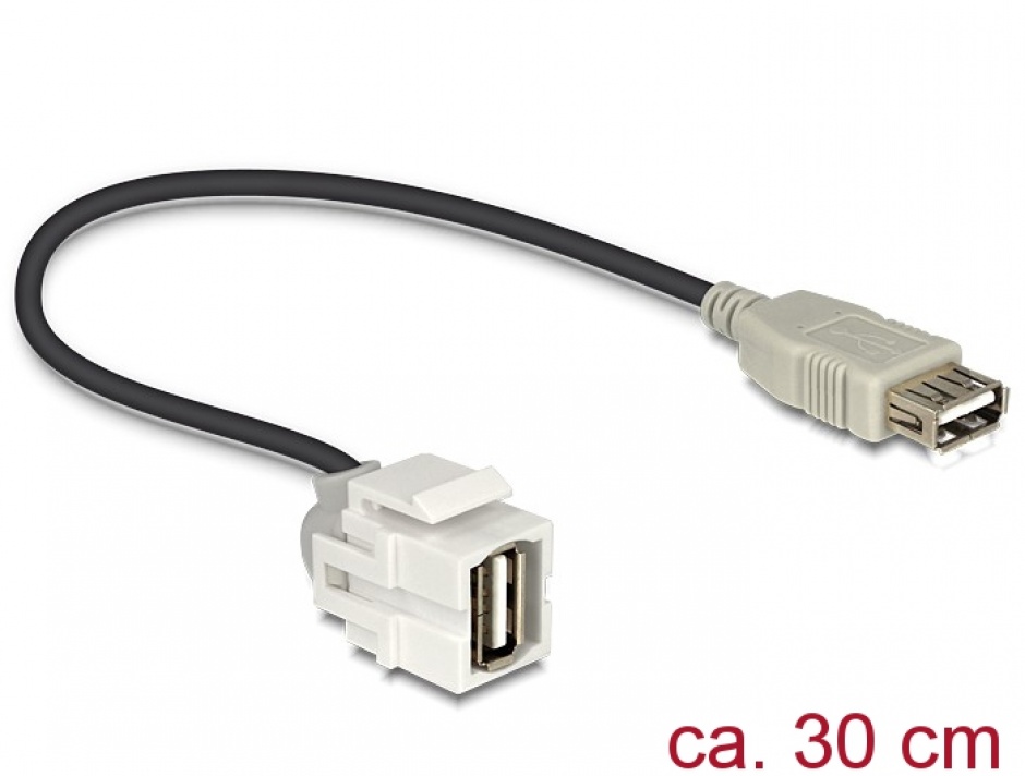 Modul Keystone USB 2.0-A 250 grade mama, Delock 86329 conectica.ro