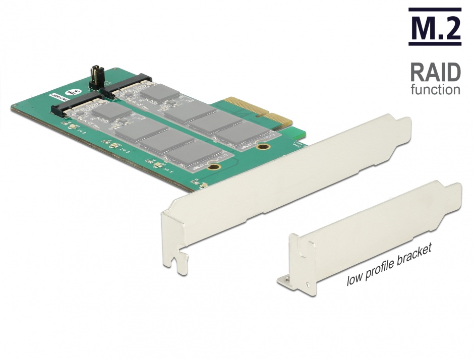 PCI Express cu 2 x M.2 Key B cu RAID, Delock 89536 conectica.ro