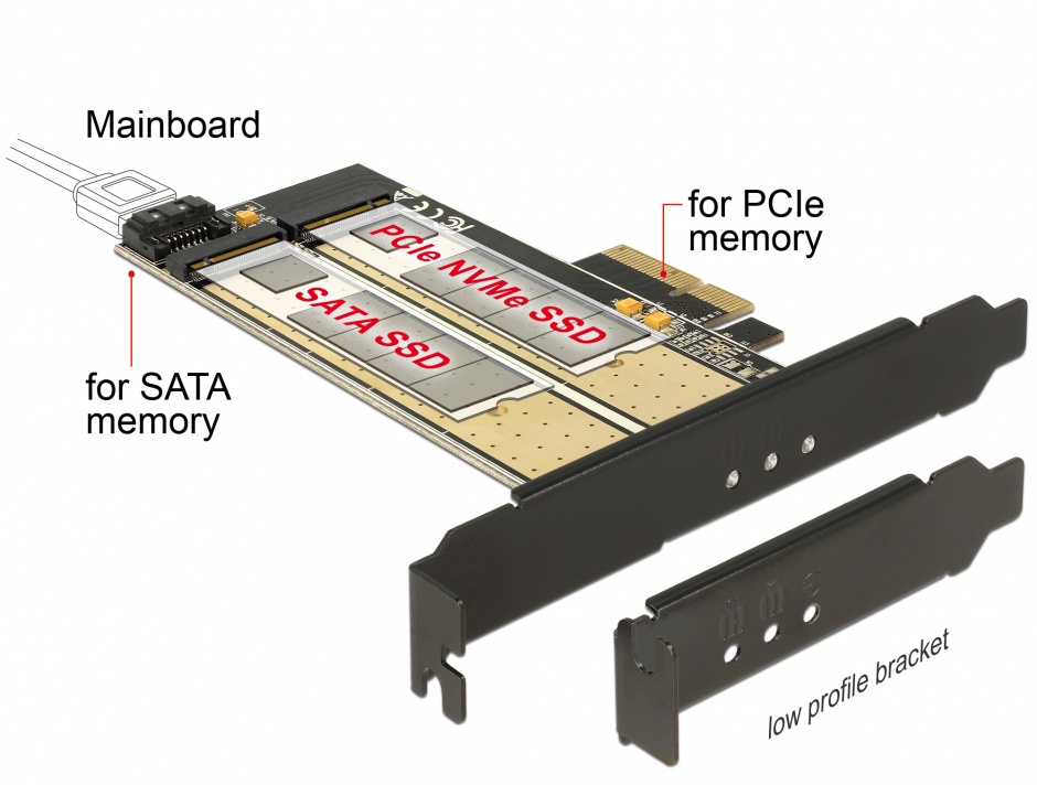 PCI Express la 1 slot M.2 Key B + 1 slot NVMe M.2 Key M, Delock 89630 Delock conectica.ro imagine 2022 3foto.ro