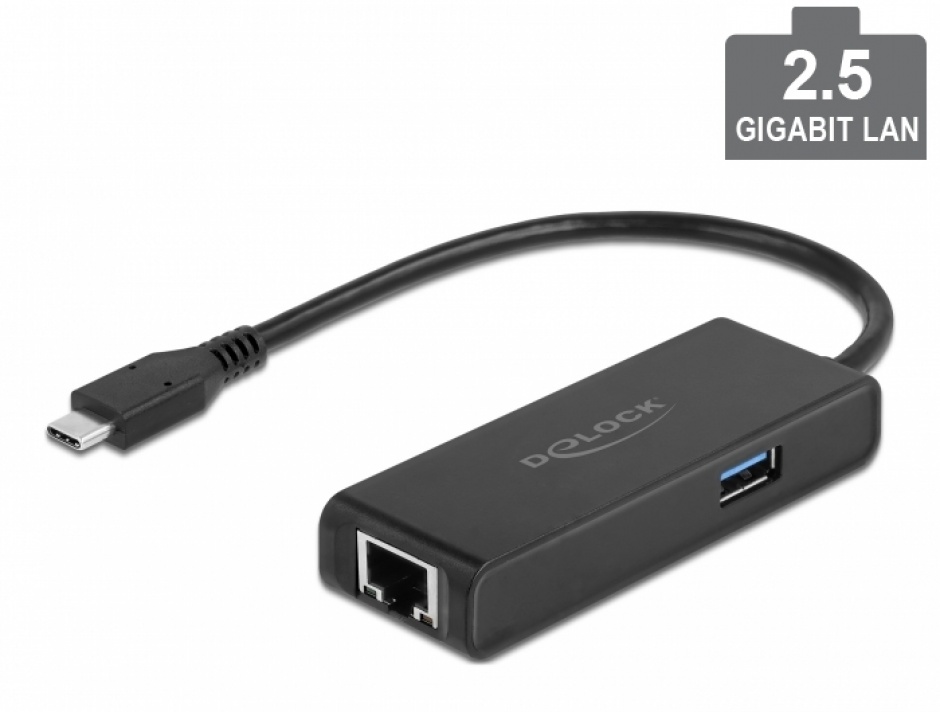 Placa de retea USB 3.2 Gen1-C la 2.5 Gigabit LAN + 1 x USB-A, Delock 63826 conectica.ro