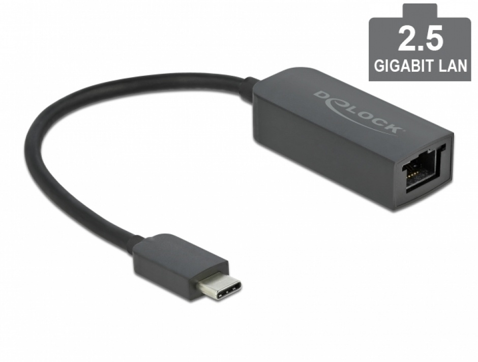 Adaptor USB 3.2-C la 2.5 Gigabit LAN, Delock 66645 conectica.ro imagine noua tecomm.ro