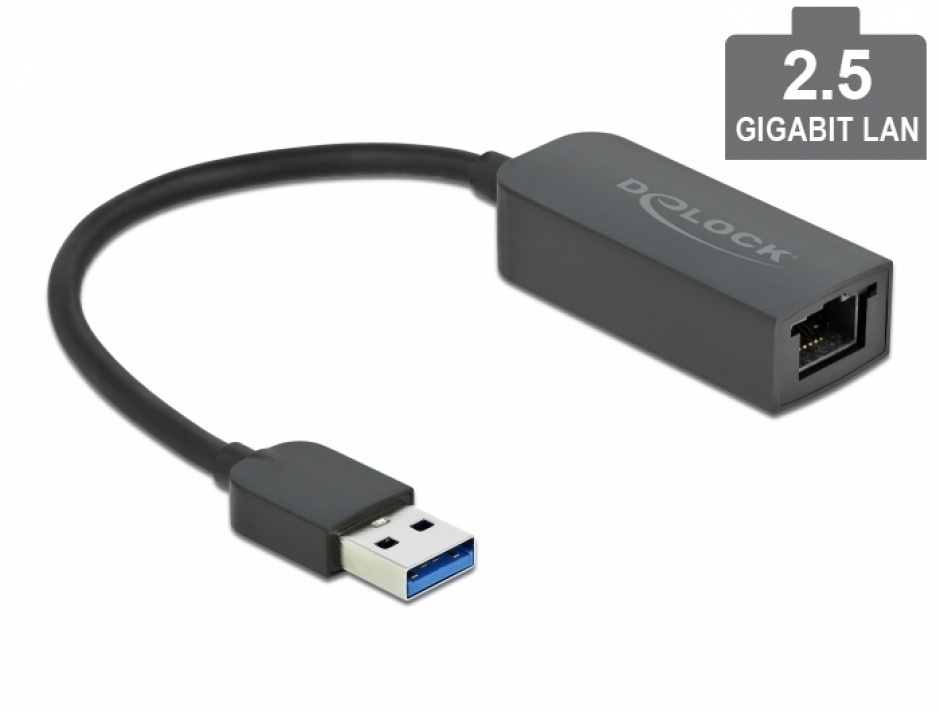 Adaptor USB 3.2-A la 2.5 Gigabit LAN, Delock 66646 conectica.ro imagine noua 2022