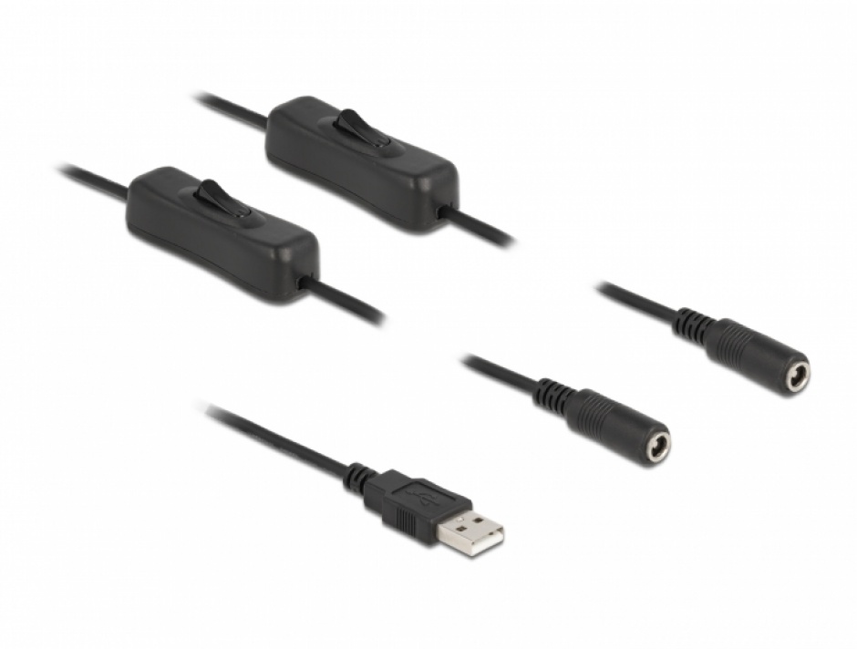 Cablu de alimentare USB-A la 2 x DC 5.5 x 2.1 mm T-M cu switch On/Off 1m, Delock 86797 conectica.ro