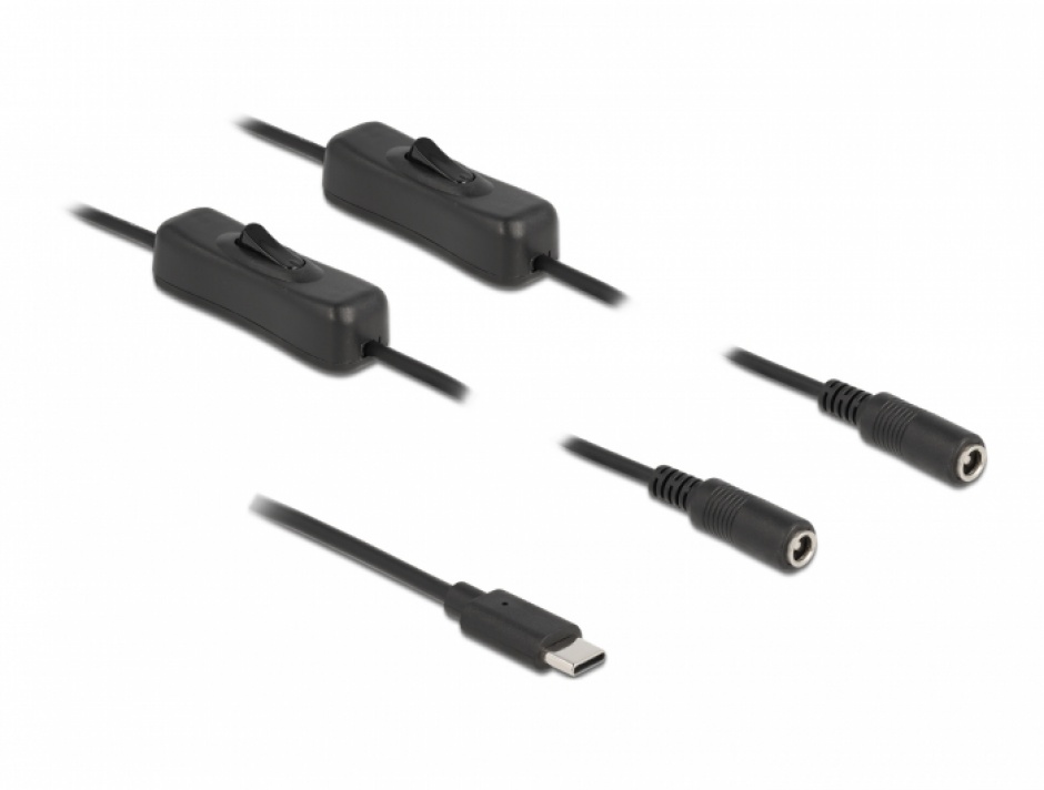 Cablu USB Type-C la 2 x DC 5.5 x 2.1 mm cu switch T-M 1m, Delock 86800 conectica.ro