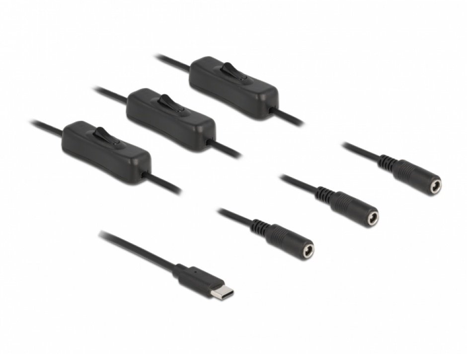 Cablu USB Type-C la 3 x DC 5.5 x 2.1 mm cu switch T-M 1m, Delock 86801