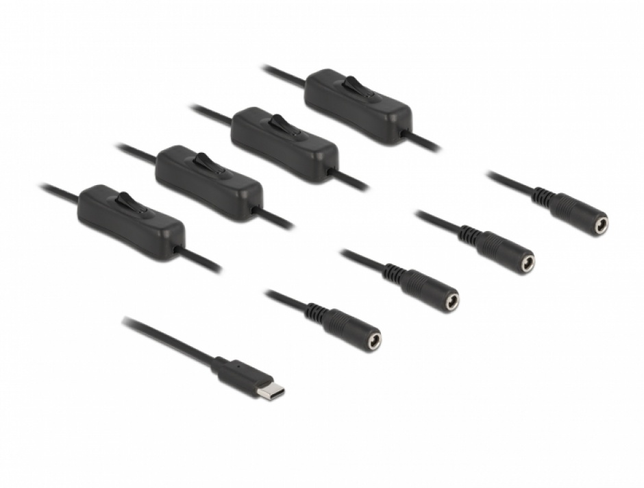 Cablu USB Type-C la 4 x DC 5.5 x 2.1 mm cu switch T-M 1m, Delock 86802 imagine noua
