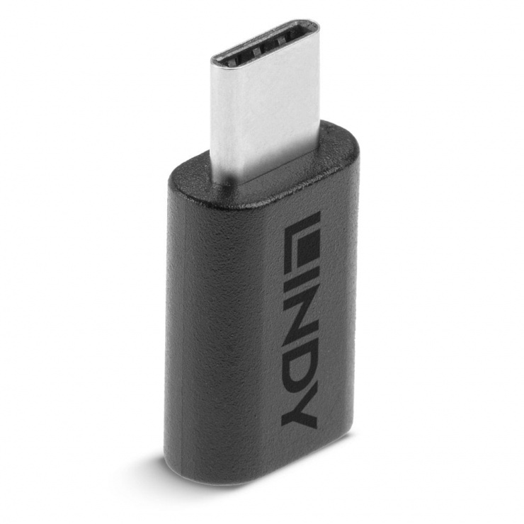 Adaptor USB 3.2 Gen 2×2 Type C T-M, Lindy L41893 conectica.ro