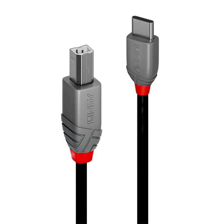 Cablu USB 2.0 Type C la USB-B Anthra Line 1m, Lindy L36941 conectica.ro