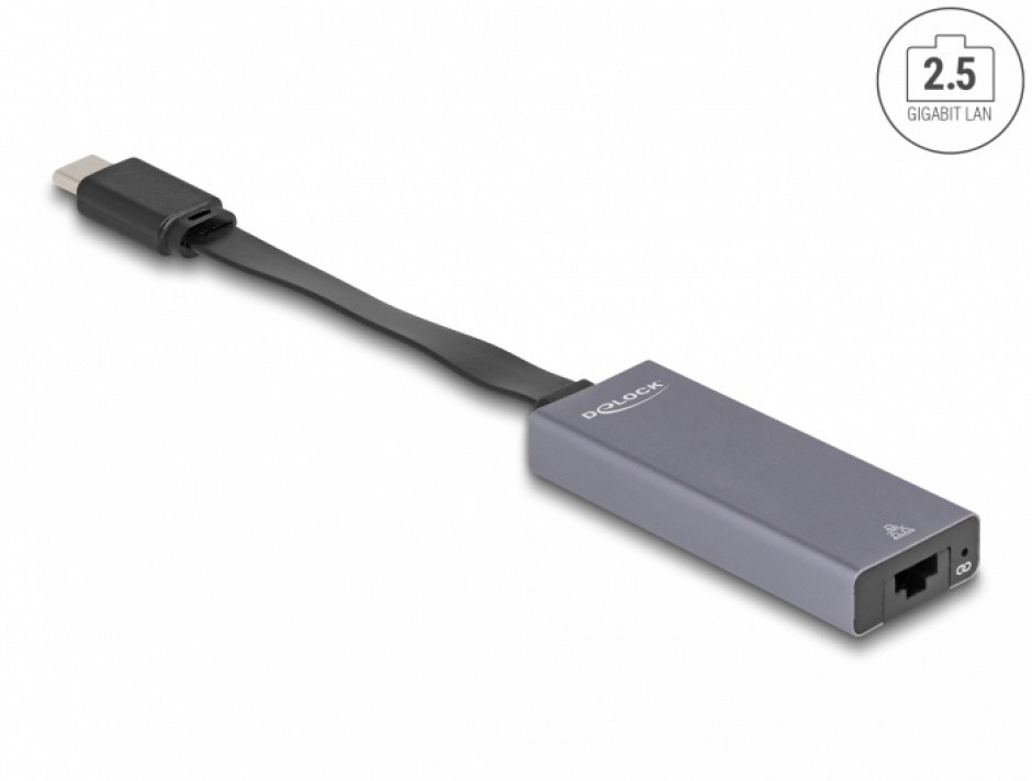 Adaptor USB 3.1 type C la 2.5 Gigabit LAN Slim, Delock 66248 2.5 imagine noua tecomm.ro