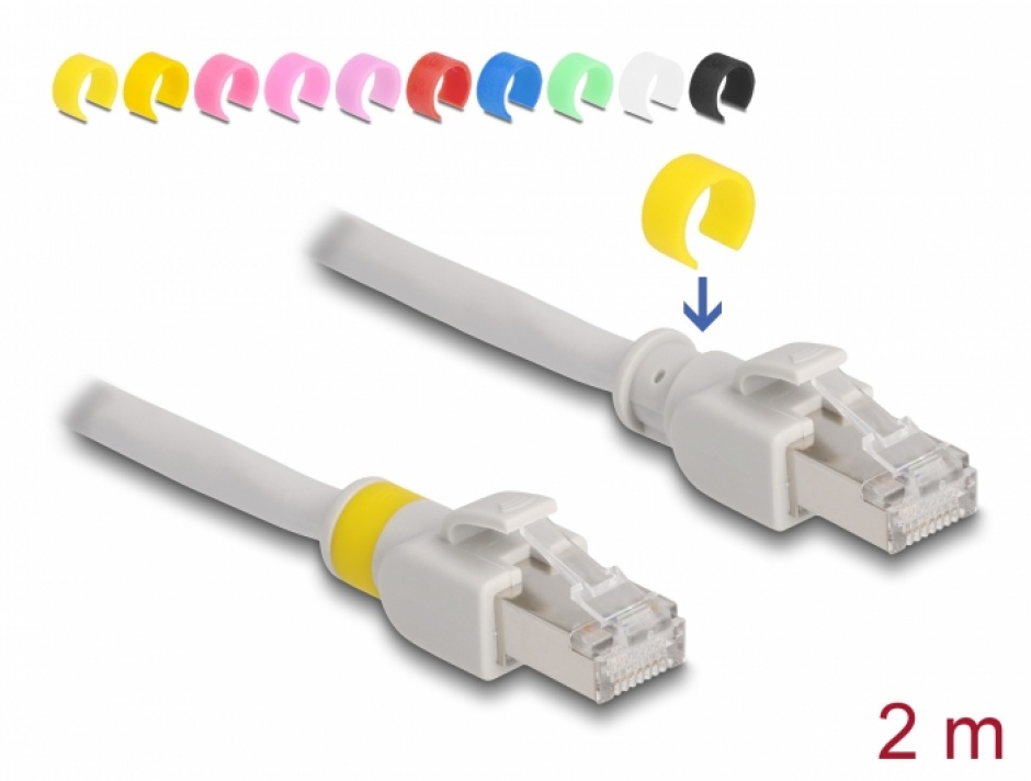 Cablu de retea RJ45 Cat.6A FTP + 20 cleme colorate 2m Gri, Delock 80119 Delock (RJ45) imagine 2022 3foto.ro