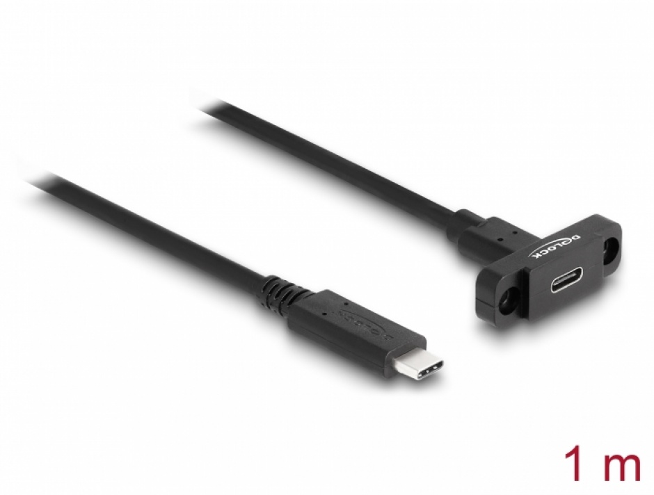 Cablu prelungitor USB 3.2 Gen2 type C T-M 1m montare panou, Delock 87824 Delock (montare imagine 2022 3foto.ro