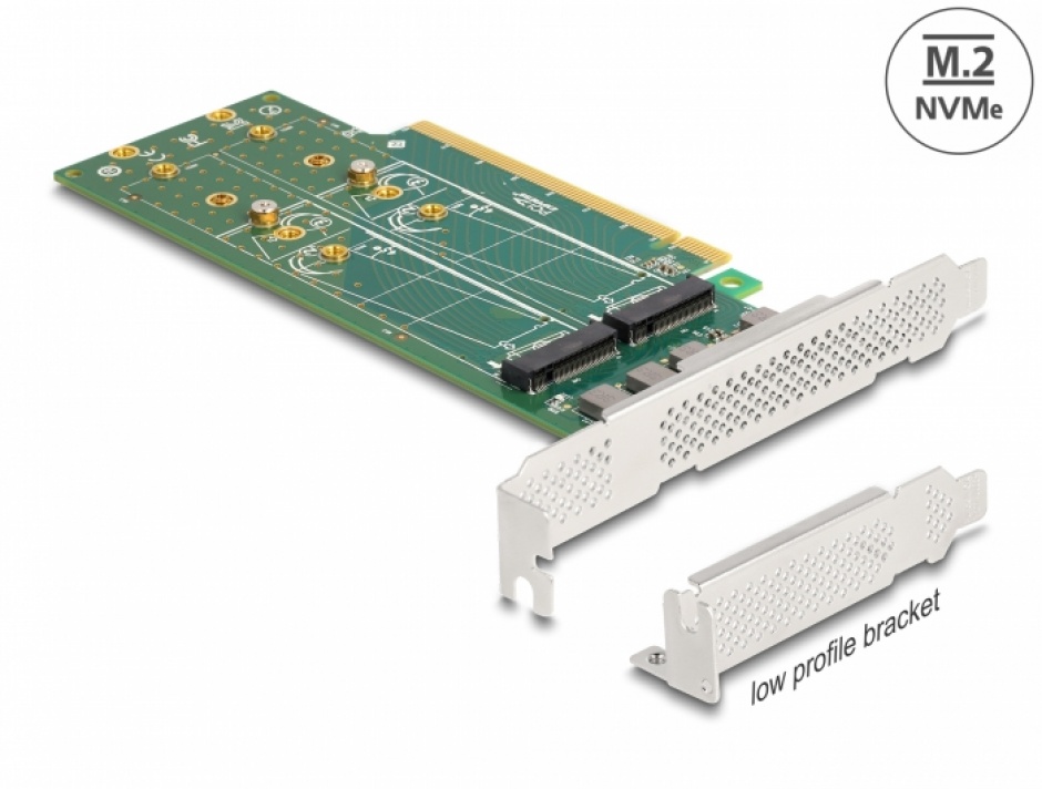 PCI Express la 4 x NVMe M.2 Key M interne – Bifurcation LPFF, Delock 90090 90090