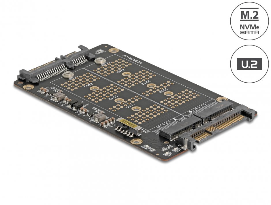 Convertor M.2 Key M NVMe SSD la U.2 si M.2 Key B SATA SSD la SATA, Delock 64354